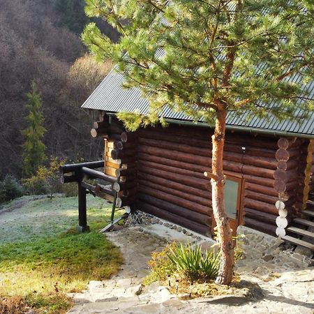 Bungalow In Mauntains With Chan Near The Forest 斯拉夫西克 外观 照片